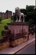 Alnwick - The Lion Bridge - Percy The Lion from the Road Side.