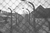 Thumbnail for project: Auschwitz