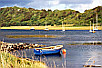 Thumbnail for project: Kintyre Sea Lochs