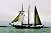 Thumbnail for project: Tall Ships' Race 1995