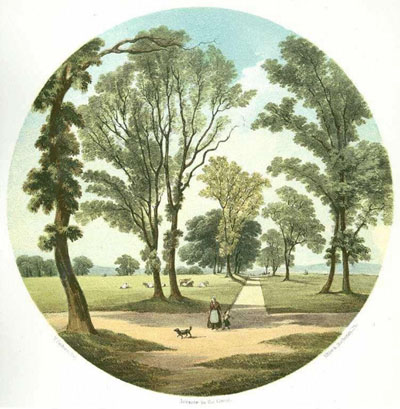Coloured illustration of a formal walk on Glasgow Green.