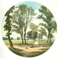 Thumbnail image of a walk on Glasgow Green.