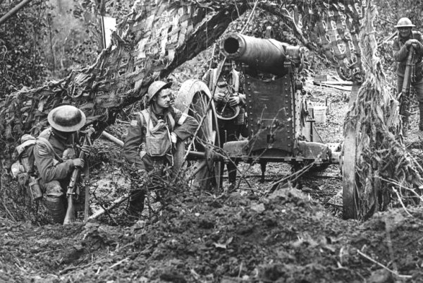 Camouflaged artillery