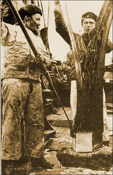 eamen splitting whalebone