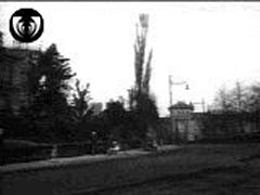 Frame 1