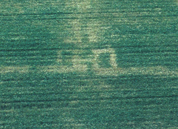 Aerial photograph of towers at east gate.