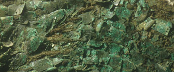 Photograph of pieces of scale armour excavated from Carpow.