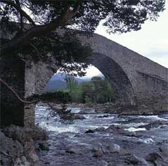 Bridge