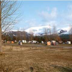 Camping at Loch Morlich