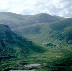 The Cairngorm Plateau