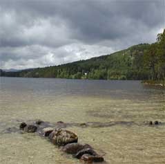 Rothiemurchus Estate